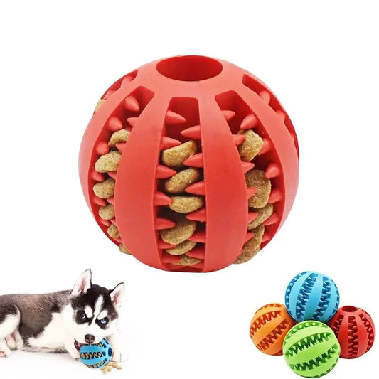 Interactive Dog Ball